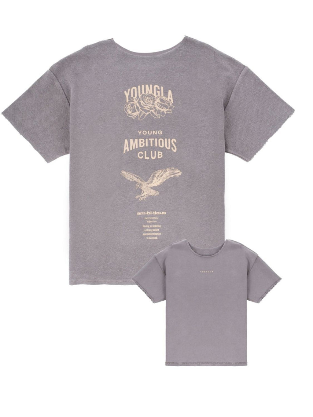Men's Plus Size Graphic Round Neck Short Sleeve T-Shirt