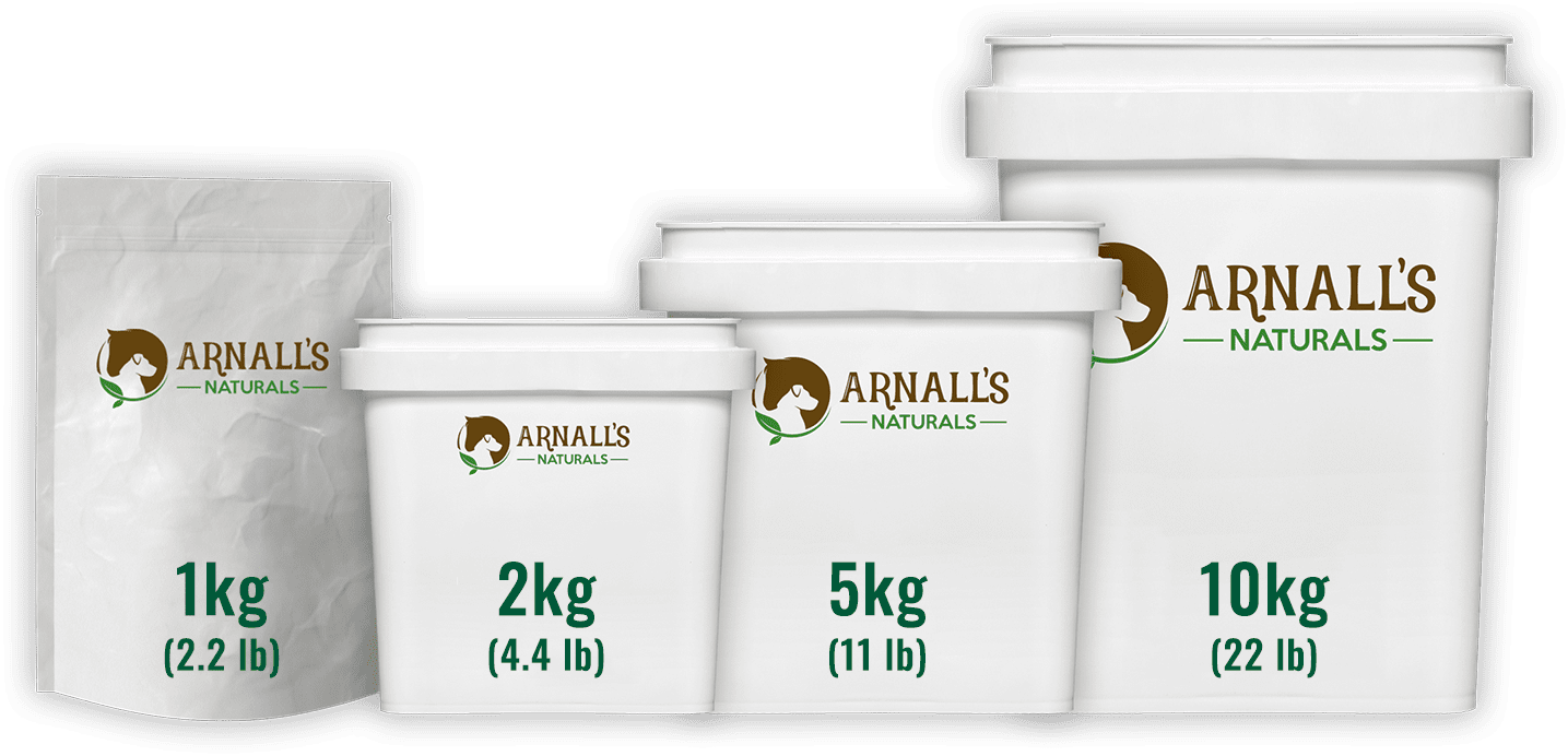 Total Plus: Total + Joint
